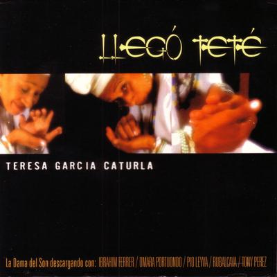 El Niche By Teresa Garcia Caturla's cover