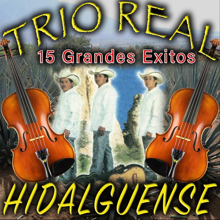 Trio Real Hidalguense's avatar image