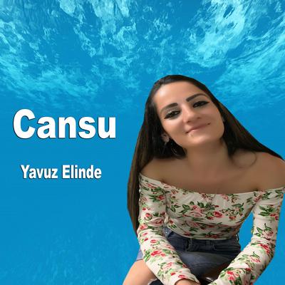 Yavuz Elinde's cover