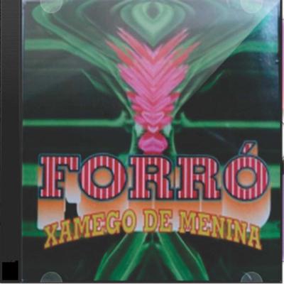 Forró Xamego de Menina's cover