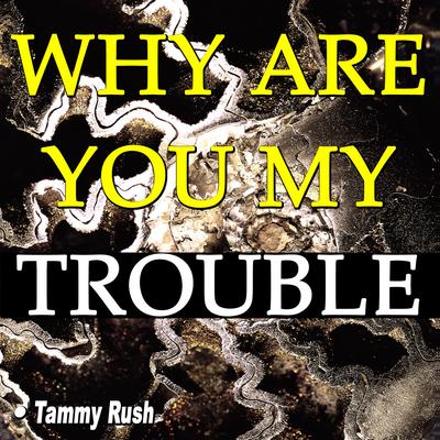 Criminal (Love the Guy) By Tammy Rush's cover