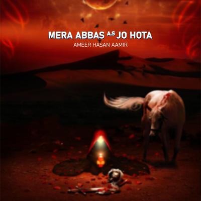 Mera Abbas A.s Jo Hota's cover