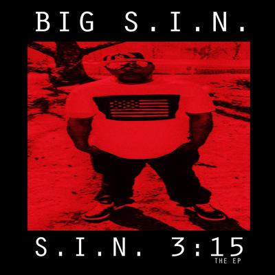 S.I.N 3:15's cover