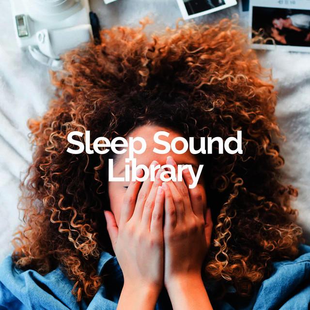 Sleep Sound Library's avatar image