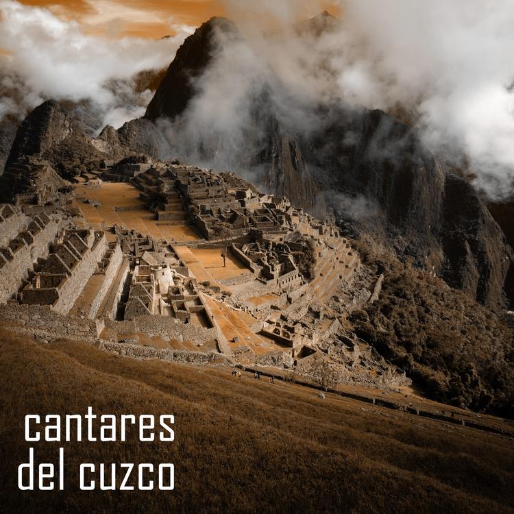 Cantares del Cuzco's avatar image