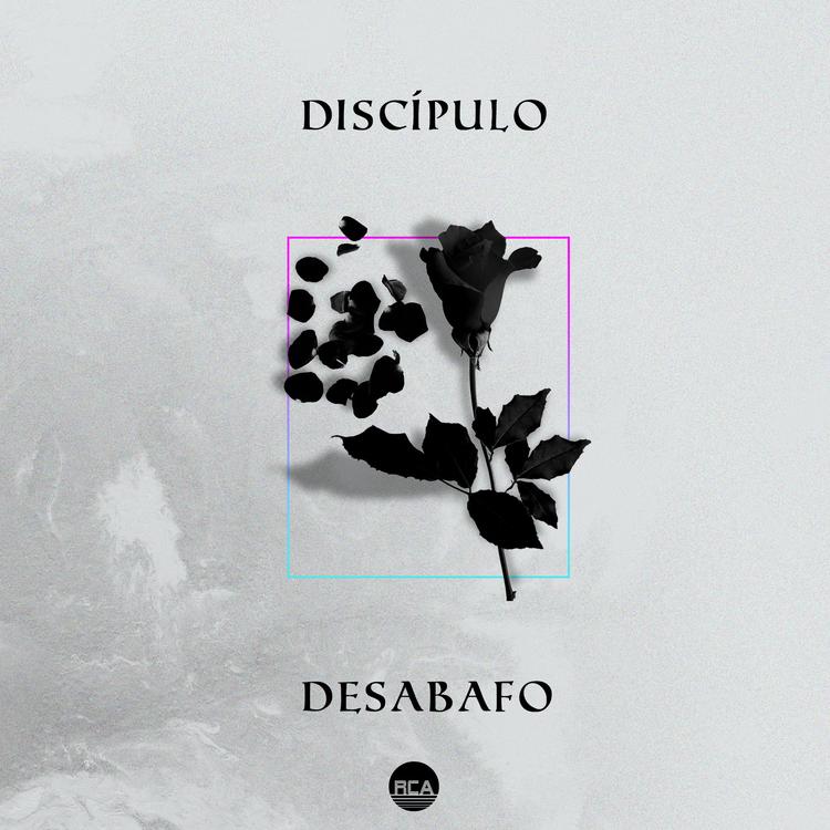 O Discípulo's avatar image