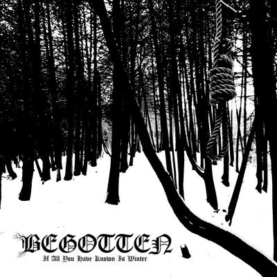 Malaise By Begotten's cover