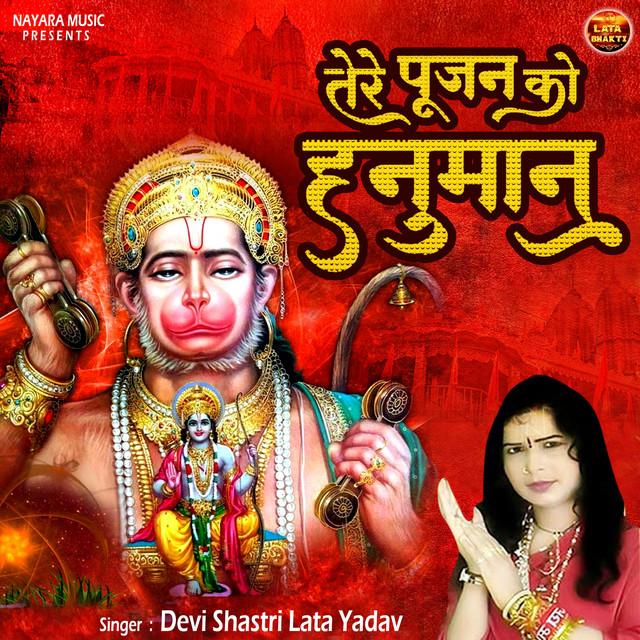 Devi Shastri Lata Yadav's avatar image