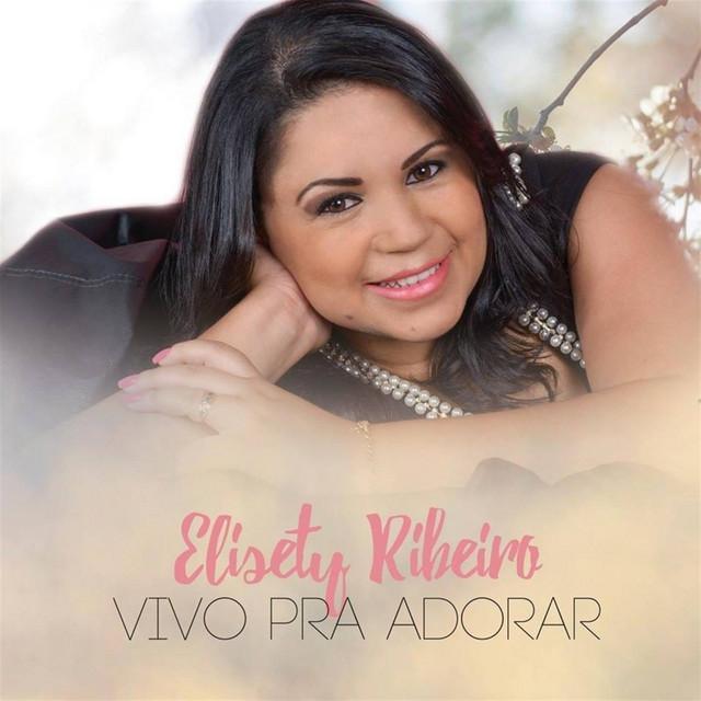 Elisety Ribeiro's avatar image