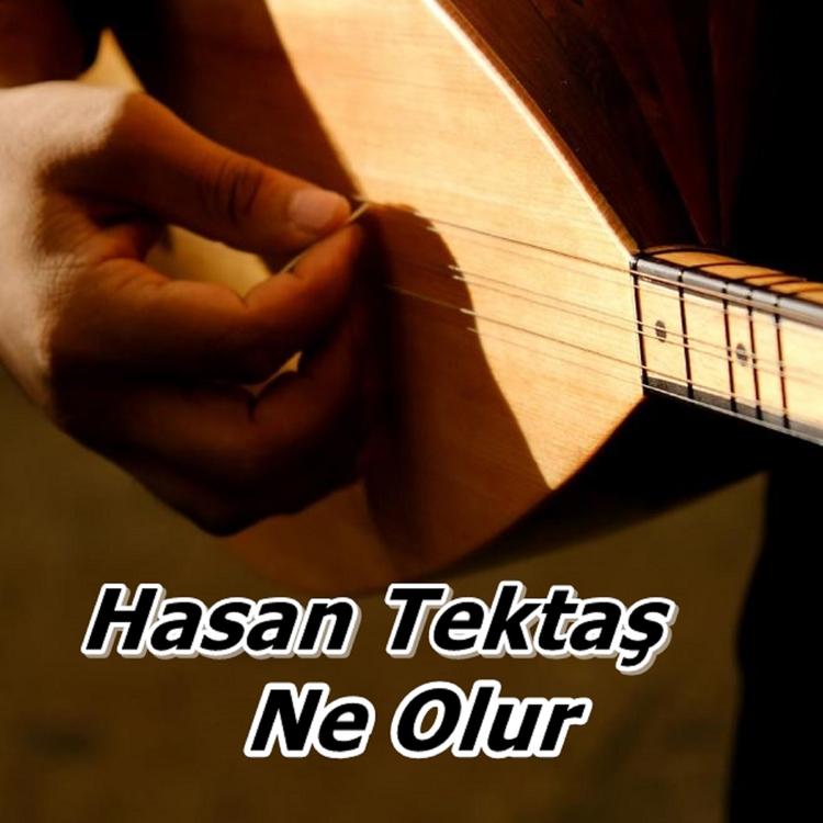 Hasan Tektaş's avatar image