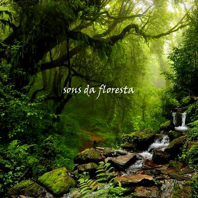 Sons da Floresta, Pt. 01 By Música para Dormir Rápido, Musica Reiki's cover