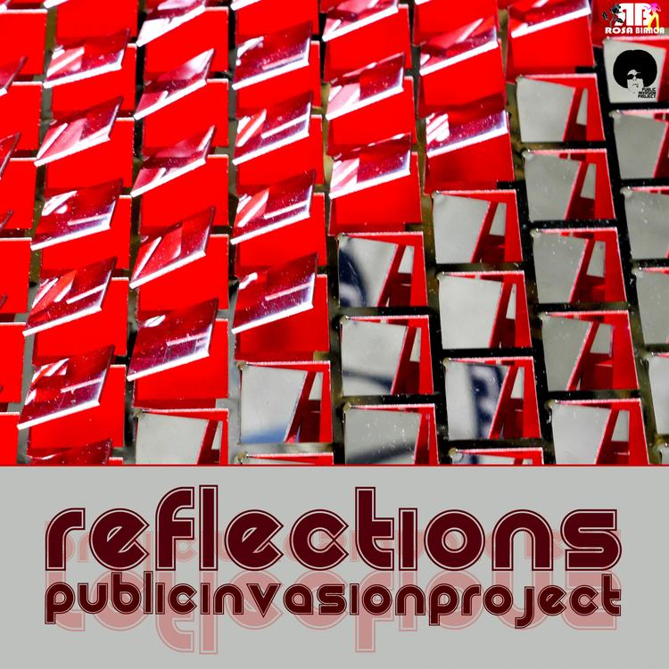 Public Invasion Project's avatar image