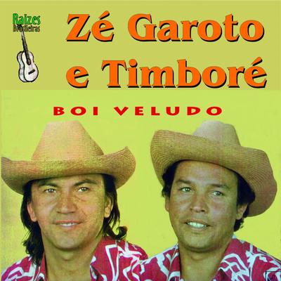 Menina Não Corte o Cabelo By Zé Garoto & Timboré's cover