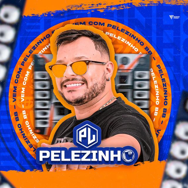 Pelezinho's avatar image