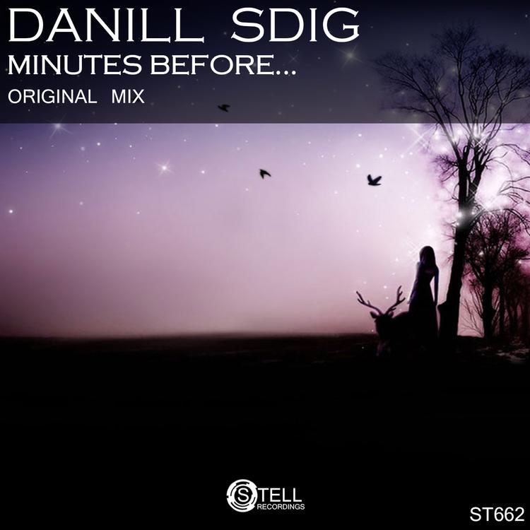 DanILL SDIG's avatar image