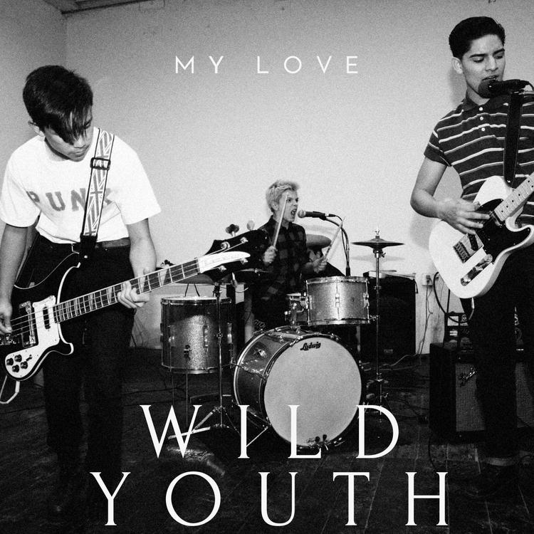 Wild Youth's avatar image