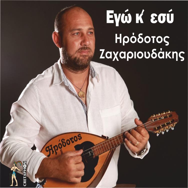 Irodotos Zaharioudakis's avatar image