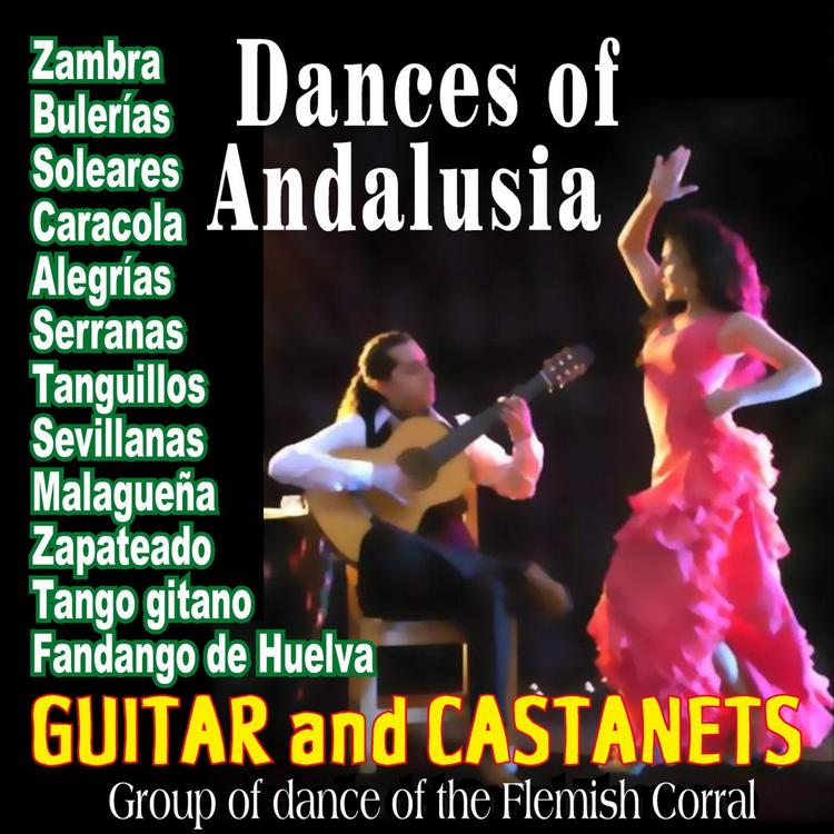 Grup Of Dance Of The Flemish Corral's avatar image