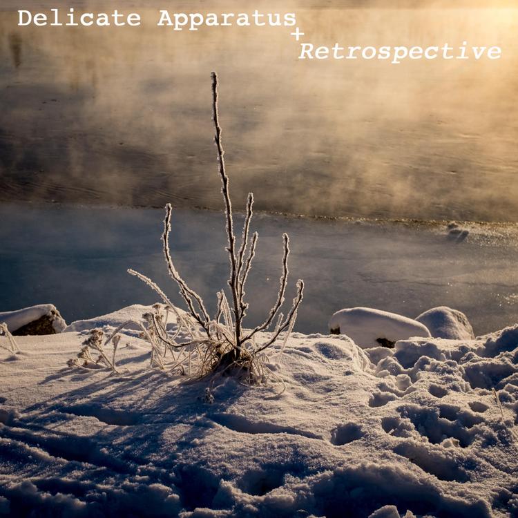 Delicate Apparatus's avatar image