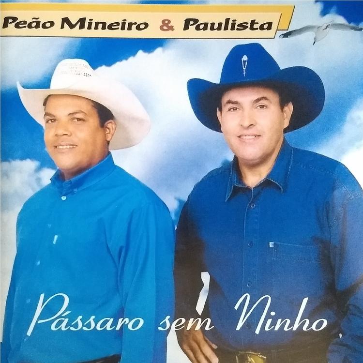 Peão Mineiro & Paulista's avatar image