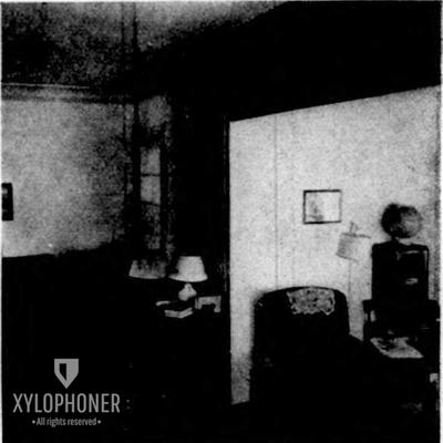 Xylophoner's cover