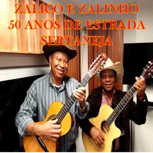 Zalico e Zalinho's avatar image
