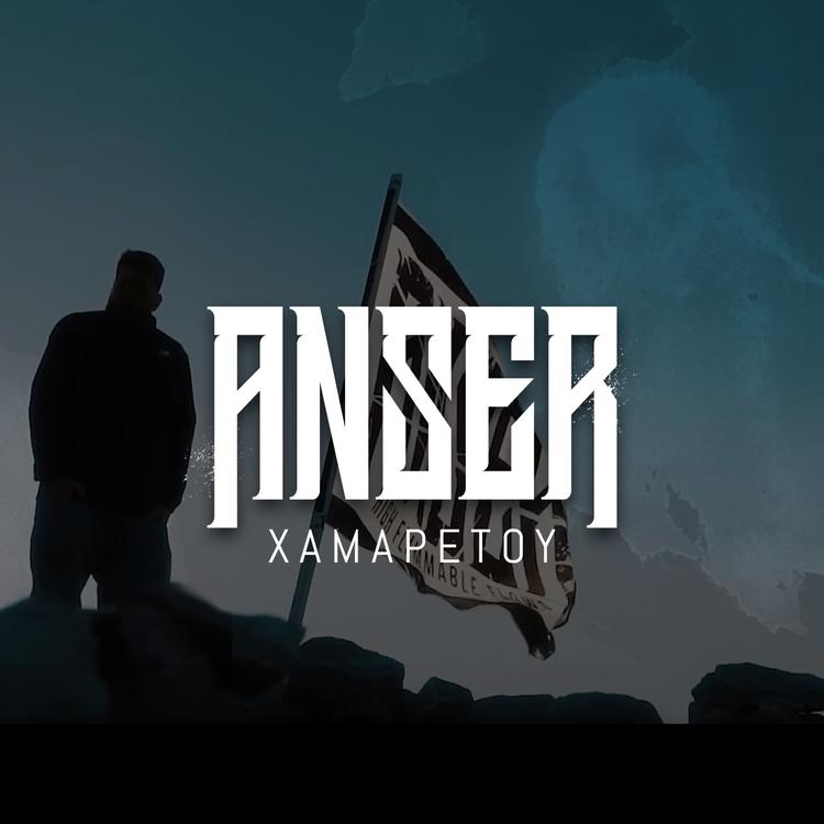 Anser's avatar image