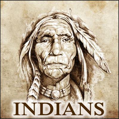 Lakota Lullaby By Indian Calling's cover