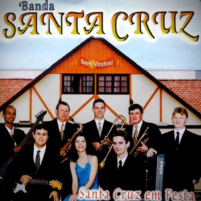 Santa Cruz Em Festa By Super Banda Santa Cruz's cover