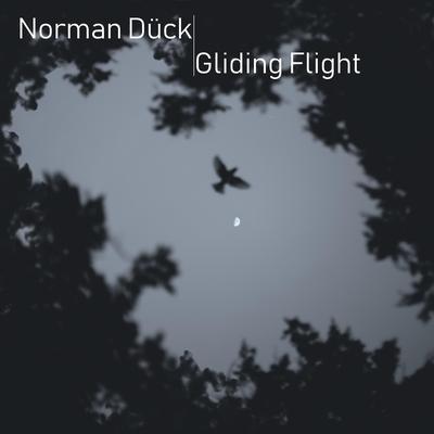 Gliding Flight's cover