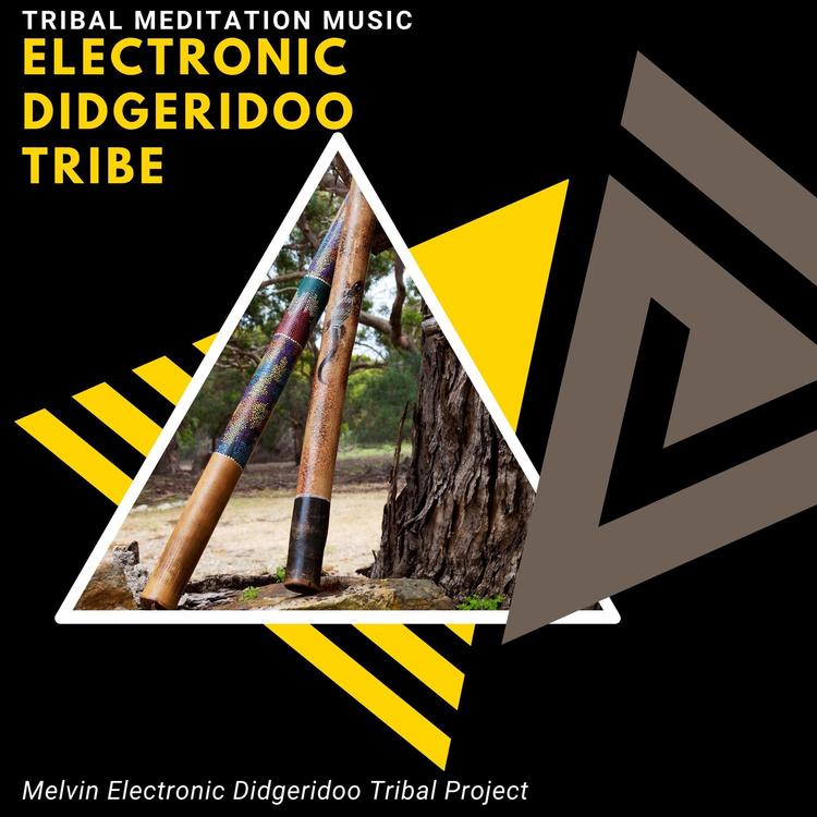 Melvin Electronic Didgeridoo Tribal Project's avatar image