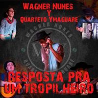 Wagner Nunes Y Quarteto Ymaguaré's avatar cover