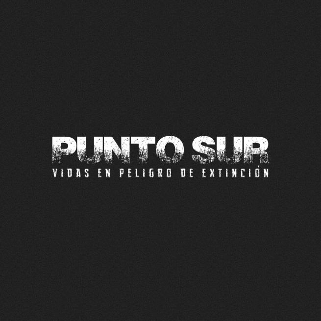 Punto Sur's avatar image