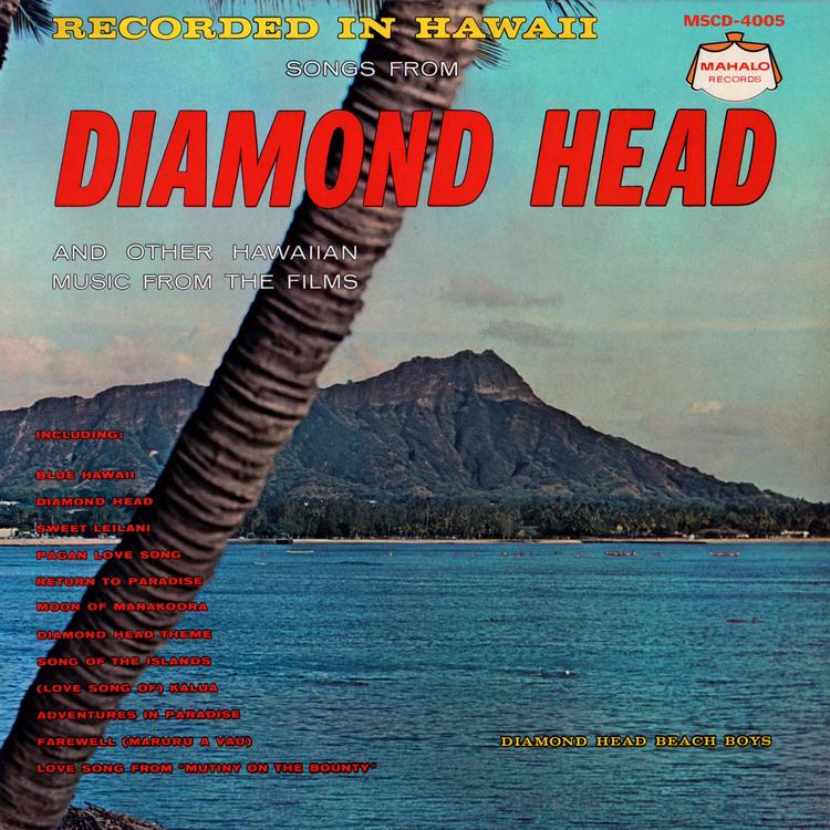 Diamond Head Beach Boys's avatar image