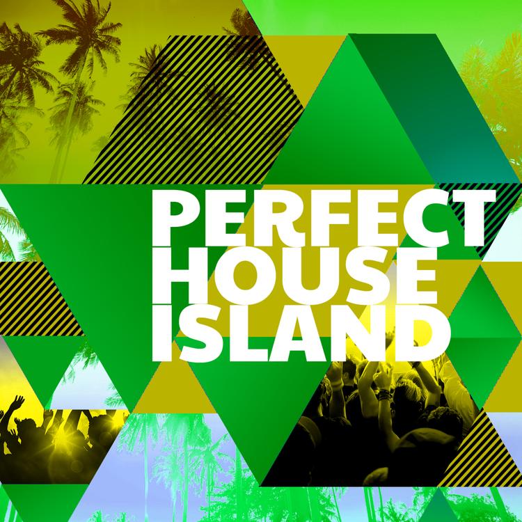 Perfect House Island's avatar image