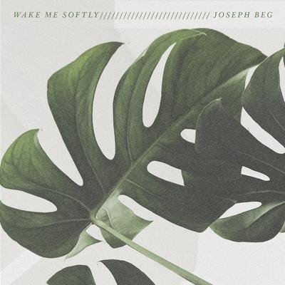 Genetic Waves By Joseph Beg's cover