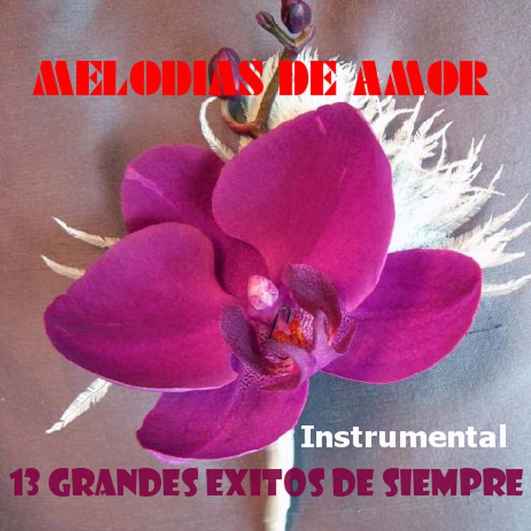 Orquesta Melodias De Amor's avatar image