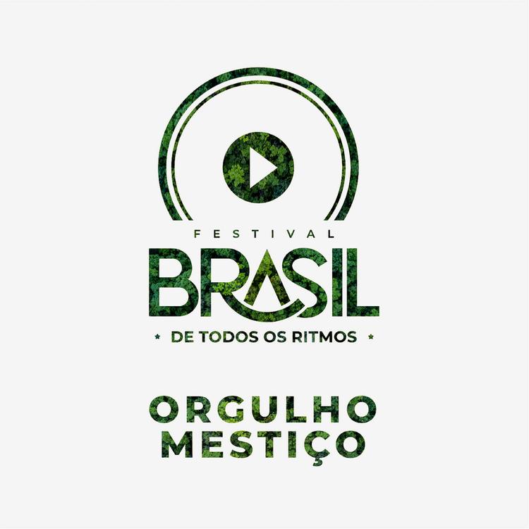 Brasil De Todos Os Ritmos's avatar image
