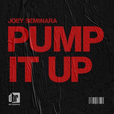 Pump It Up (Original Mix) By Joey Seminara's cover
