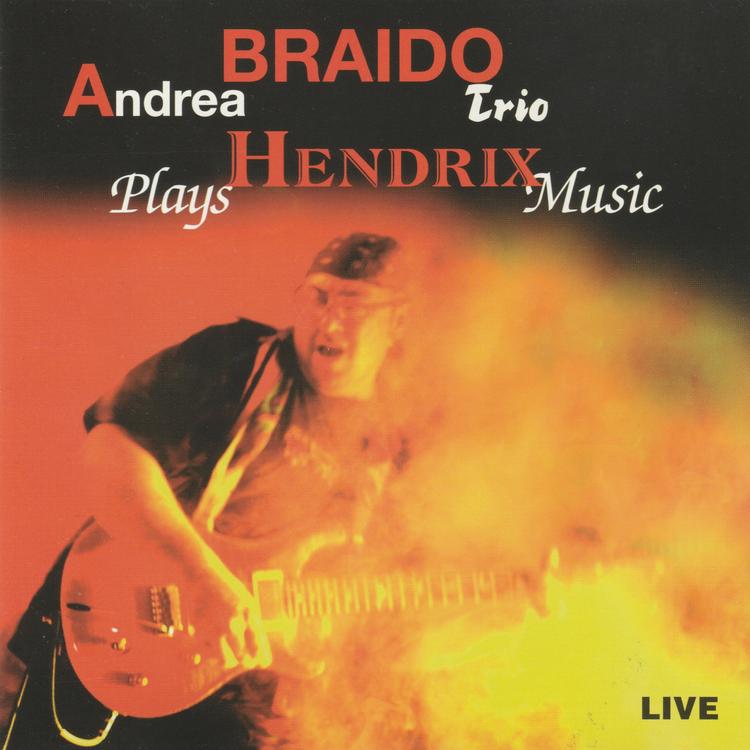 Andrea Braido Trio's avatar image