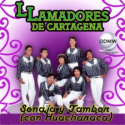 Sonaja y Tambor (Con Guacharaca)'s cover