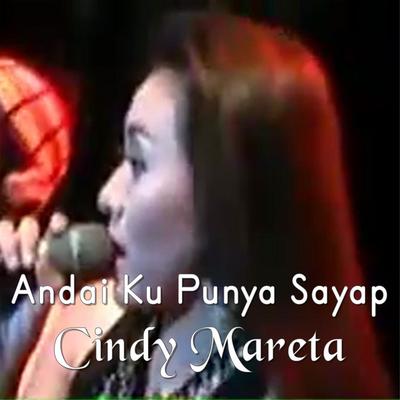 Andai Ku Punya Sayap's cover