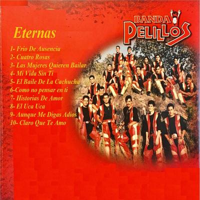 Banda Pelillos's cover