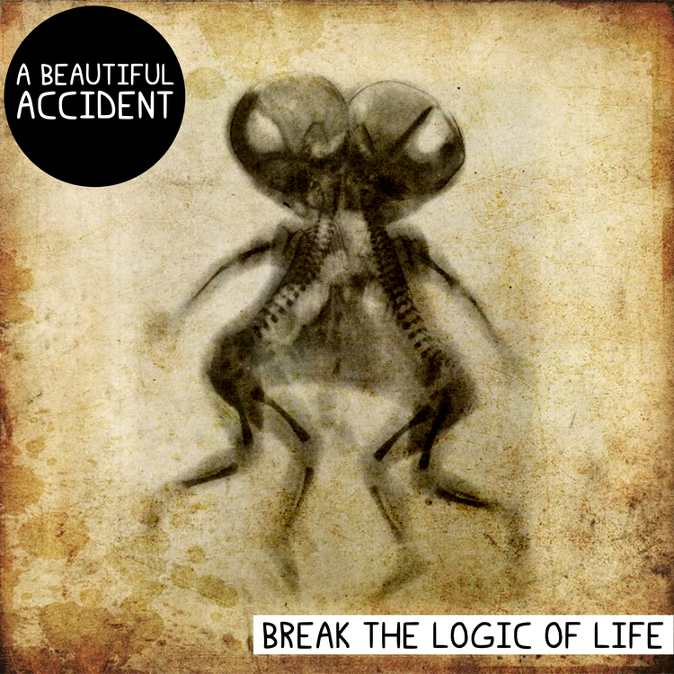 A BEAUTIFUL ACCIDENT's avatar image