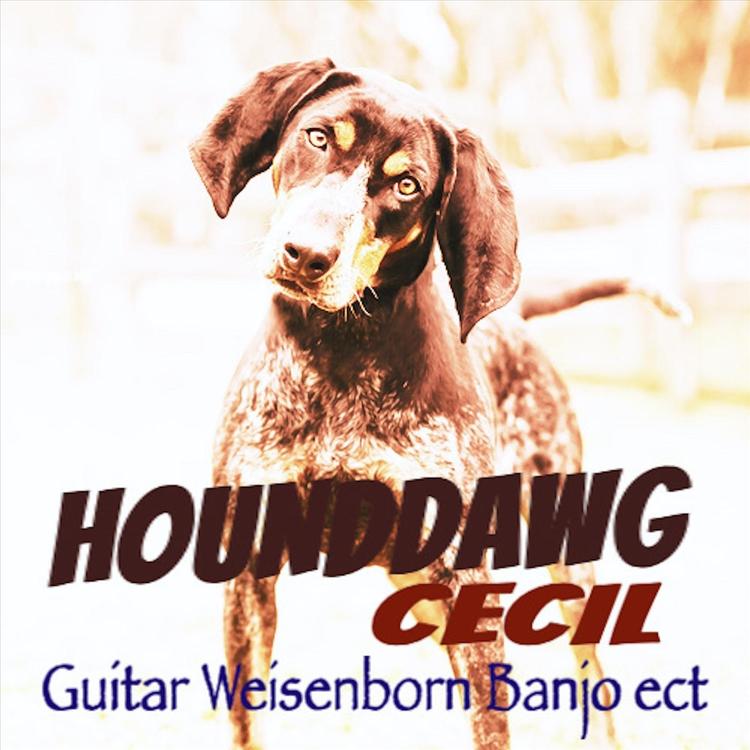 Hounddawg Cecil's avatar image