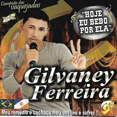 Hoje Eu Bebo por Ela By Gilvaney Ferreira's cover