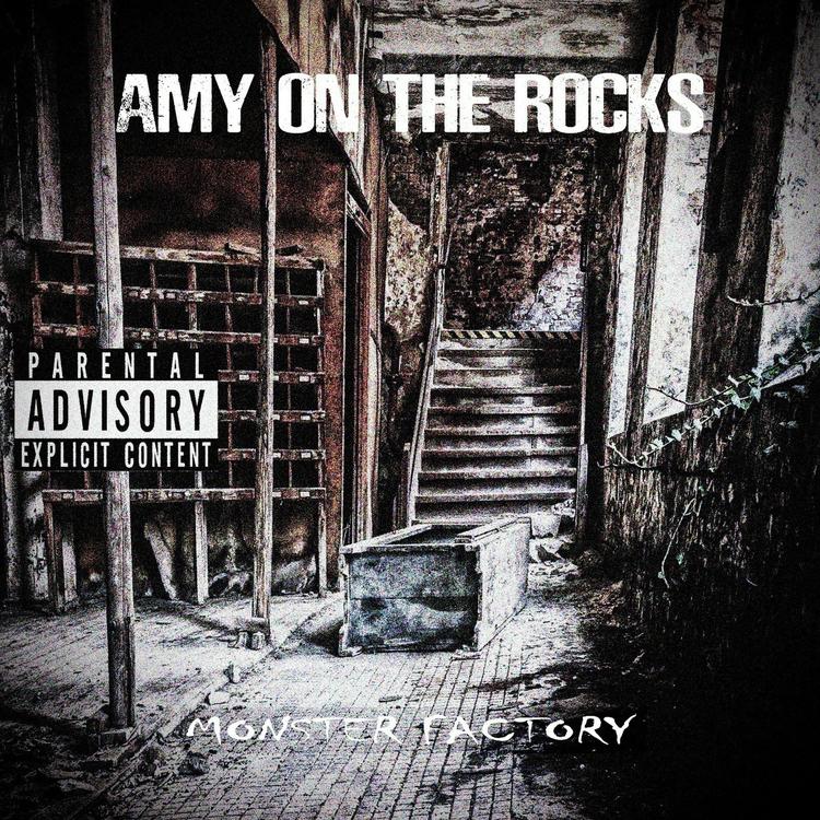 Amy On The Rock's's avatar image