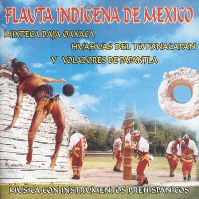 Danza de los Huahuas Ó Quetzales's cover