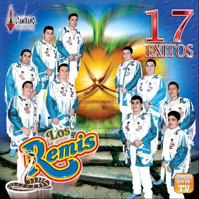 17 Exitos Ando en Busca's cover