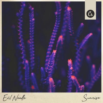Sunrise (Original Mix) By Evil Needle's cover